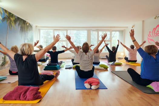 A group of senior women engage in various yoga exercises, including neck, back, and leg stretches, under the guidance of a trainer in a sunlit space, promoting well-being and harmony.