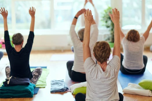 A group of senior women engage in various yoga exercises, including neck, back, and leg stretches, under the guidance of a trainer in a sunlit space, promoting well-being and harmony.