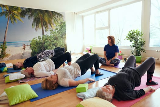 A group of senior women engage in various yoga exercises, including neck, back, and leg stretches, under the guidance of a trainer in a sunlit space, promoting well-being and harmony.