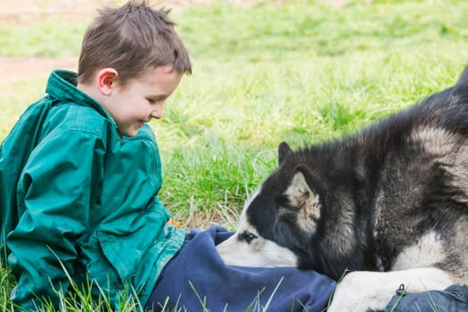 Boy playing with his dog. Happy child plays with siberian husky dog. Active children concept.