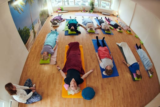 A group of senior women engage in various yoga exercises, including neck, back, and leg stretches, under the guidance of a trainer in a sunlit space, promoting well-being and harmony.