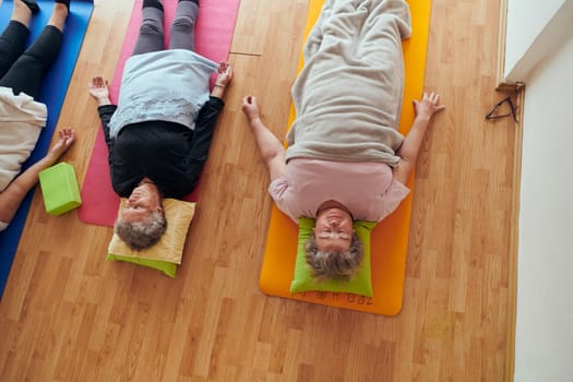 Top view of group of senior women engage in various yoga exercises, including neck, back, and leg stretches, under the guidance of a trainer in a sunlit space, promoting well-being and harmony.