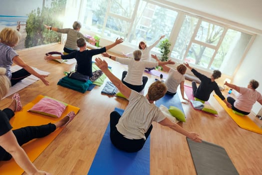 A group of senior women engage in various yoga exercises, including neck, back, and leg stretches, under the guidance of a trainer in a sunlit space, promoting well-being and harmony.