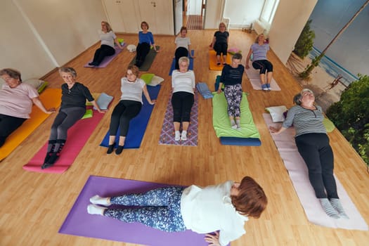 A group of senior women engage in various yoga exercises, including neck, back, and leg stretches, under the guidance of a trainer in a sunlit space, promoting well-being and harmony.