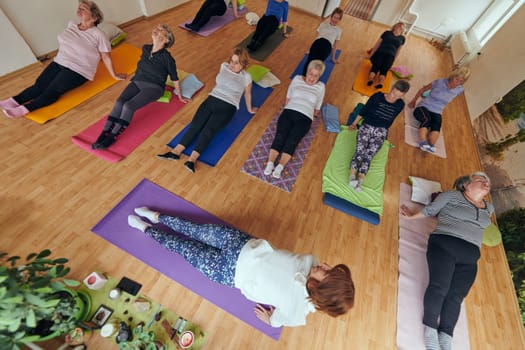 A group of senior women engage in various yoga exercises, including neck, back, and leg stretches, under the guidance of a trainer in a sunlit space, promoting well-being and harmony.