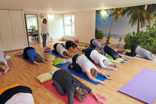 A group of senior women engage in various yoga exercises, including neck, back, and leg stretches, under the guidance of a trainer in a sunlit space, promoting well-being and harmony.