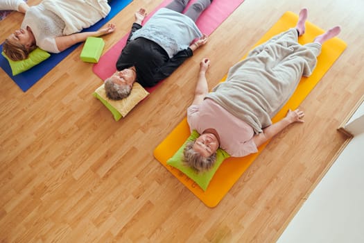 Top view of group of senior women engage in various yoga exercises, including neck, back, and leg stretches, under the guidance of a trainer in a sunlit space, promoting well-being and harmony.