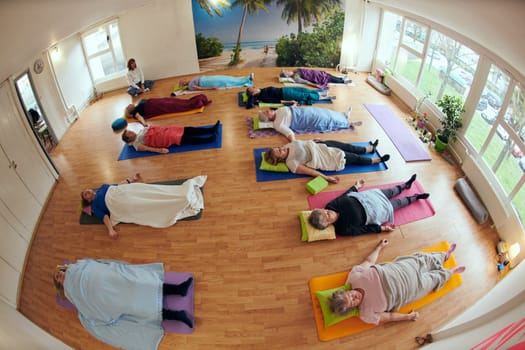 A group of senior women engage in various yoga exercises, including neck, back, and leg stretches, under the guidance of a trainer in a sunlit space, promoting well-being and harmony.