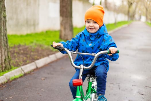 Cute little preschool kid boy riding on bicycle in park. Learning to ride a bike concept