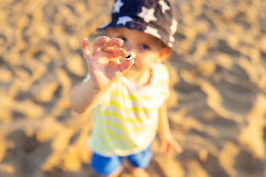 Child holding sea shell on the beach by the sea.