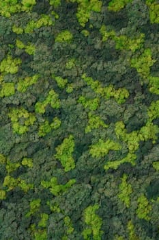 close up view of a canvas made of natural moss of different colors, high resolution. High quality photo