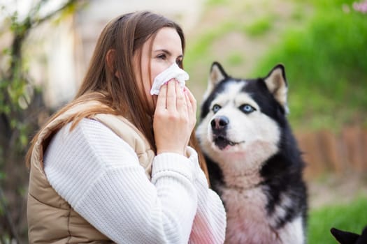 A woman sneezes and blows her nose into a napkin suffers from pet fur allergy. Concept of allergies to domestic animals