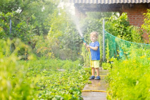 Child watering flowers and plants in garden. Kid with water hose in sunny blooming backyard. Little boy gardening. Children help parents