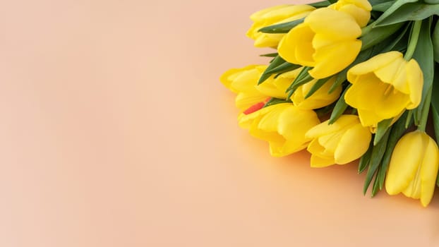 National Tulip Day. Mockup Yellow Tulip Flowers with Green Leaves. Flower Bulb Day. Space For Text. Blooming. Greeting Postcard. Design Celebration Women Day. High quality photo