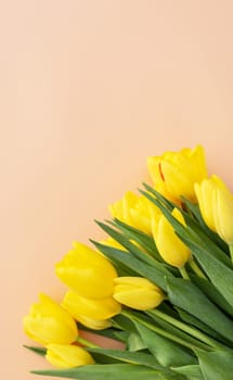 National Tulip Day. Mockup Yellow Tulip Flowers with Green Leaves. Flower Bulb Day. Space For Text. Blooming. Greeting Postcard. Vertical Plane. Design Celebration Women Day. High quality photo