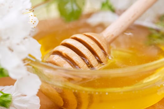 Flower honey in a glass bowl with wooden honey spoon on wooden table with blossoming flowers.