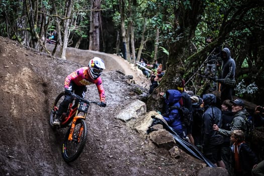 MAYDENA, AUSTRALIA - FEBRUARY 23: Laurie Greenland of Great Britain during seeding in Red Bull Hardline Tasmania on February 23, 2024 in Maydena, Australia.