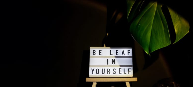 Caption saying BE LEAF believe IN YOURSELF Indoors garden healthy space biophilia design. Joke quote humor Monstera house plant with sunset lamp light. Creative minimalistic design