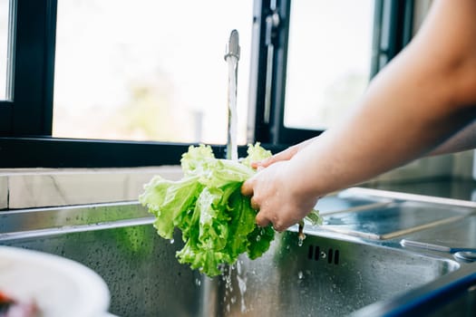 Hygienic food prep, Woman's hands washing fresh vegetables under running water in a modern kitchen sink for a vegan salad. Clean and fresh leafy greens for homemade healthy eating.