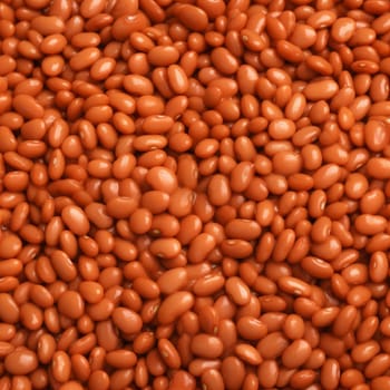 Cooked beans. Baked tomato meal. Generate Ai