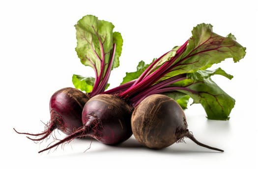 Fresh beets from garden. Root plant. Generate Ai