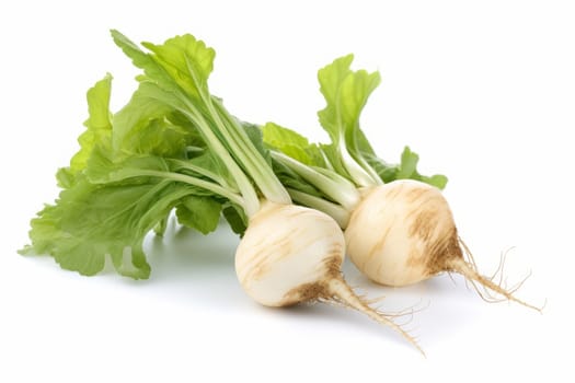 Fresh sugar beet. Food agriculture. Generate Ai