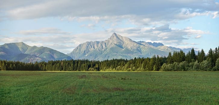 Summer meadow panorama, with forest and mount Krivan (Slovak symbol) peak in distance, afternoon clouds above