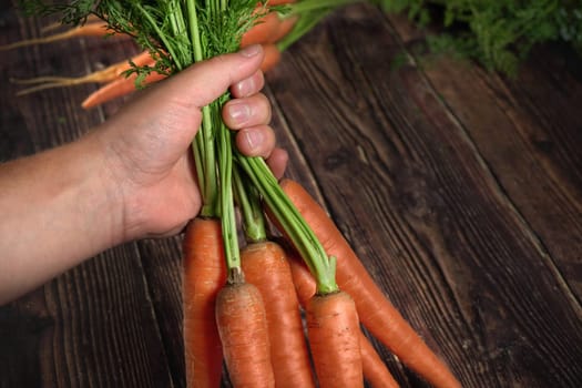 Hand holding bunch of fresh carrots with green leaves over dark wooden board