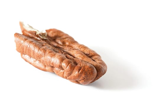 Pecan nut kernel isolated on white background