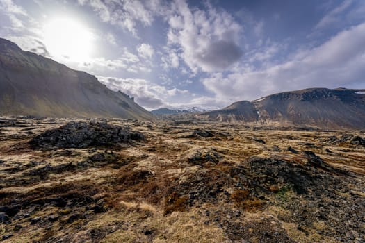 Lava fields near Arnarstapi, Iceland