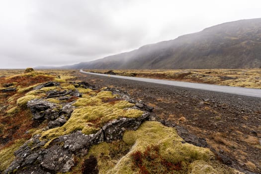 Road after rain in Iceland in spring