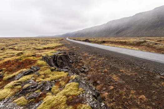 Road after rain in Iceland in spring