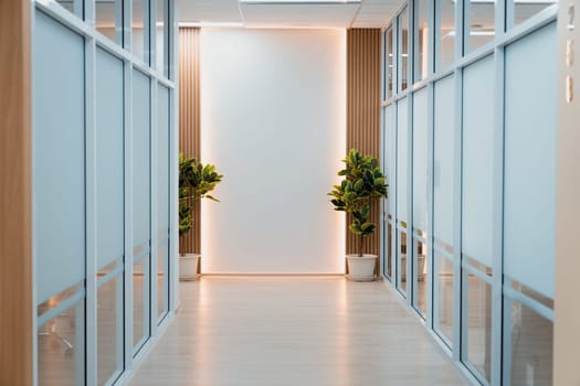 Empty modern office bright corridor with glass wall. Long white modern office hallway. No businesspeople. Many glass wall and doors. White bright empty workplace corridor background. Ornamented.