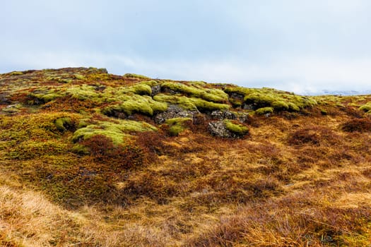 Magnificent meadows and sights unique to Iceland located inside hills and valleys highland of Thingvellir national park. Wonderful icelandic scenery in gorgeous rustic location.