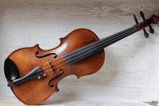 violin - an orchestral or solo professional bowed musical instrument with four strings. loved by children and adults. used in classical folk popular and jazz music. High quality photo