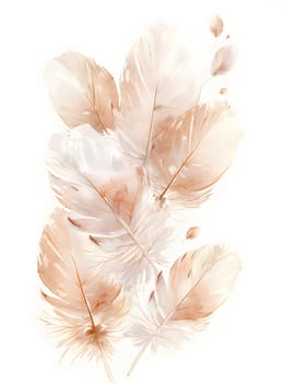 A collection of brown and white feathers resembles a delicate flower with petals on a white background, showcasing the beauty of terrestrial plants and their intricate details