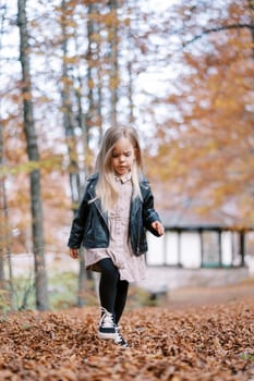 Little girl walks through fallen leaves in the autumn forest, looking at her feet. High quality photo