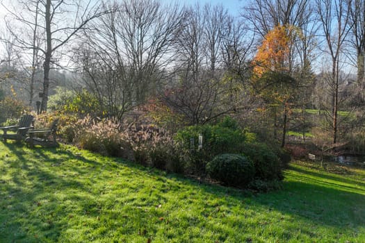 English green garden with water pound and multiple type of trees and plants during winter season