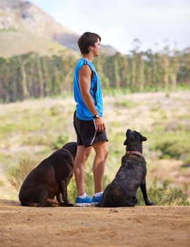 Nature, mountain and athlete with dogs for exercise, fitness and morning run on path in Portugal. Trees, man and pets in forest for companion with workout, training or hiking for healthy body.