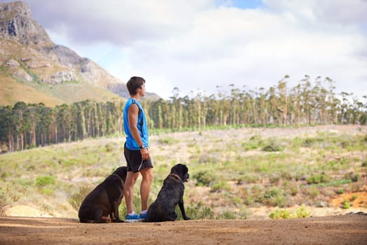 Nature, mountain and man with dogs for fitness, exercise and morning run on path in Portugal. Trees, athlete and pets in forest for companion with workout, hiking or training for healthy body.