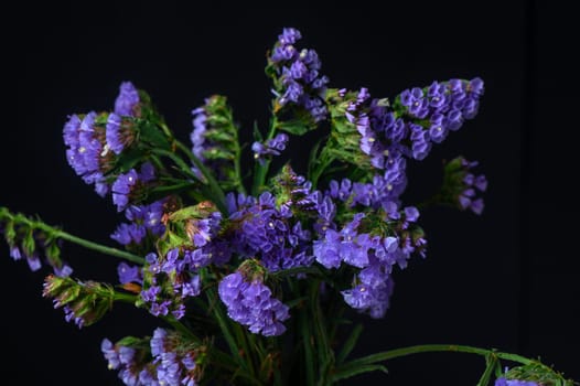 Kermek, limonium, statice, is a popular flower in the Mediterranean. 2