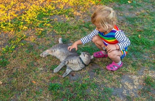 child plays with a cat in nature. Selective focus. kid.