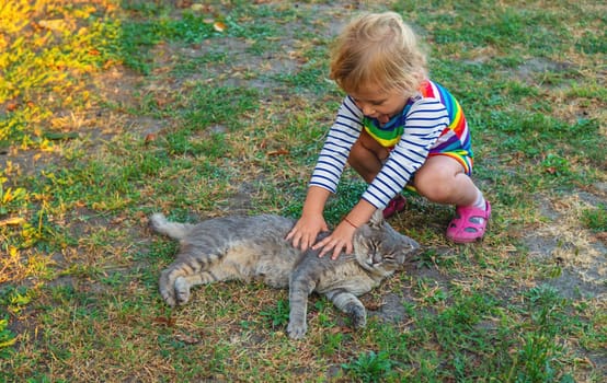 child plays with a cat in nature. Selective focus. kid.