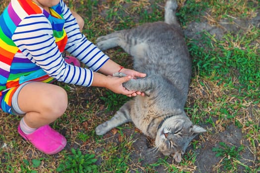 child plays with a cat in nature. Selective focus. kid.