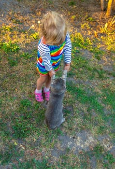 child plays with a cat in nature. Selective focus. kid.