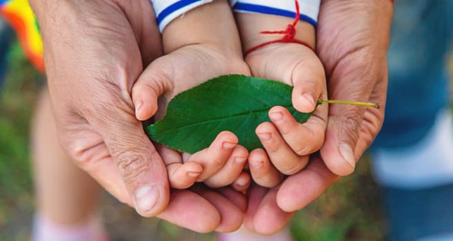 children and parents hold a piece of leaf in their hands. Selective focus. Kids.