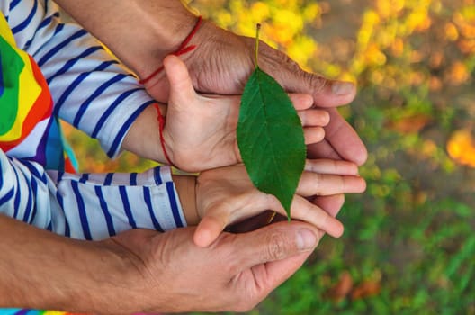 children and parents hold a piece of leaf in their hands. Selective focus. Kids.