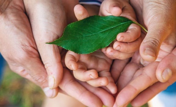 children and parents hold a piece of leaf in their hands. Selective focus. Kids.