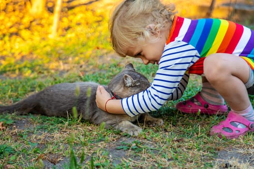 child plays with a cat in nature. Selective focus. kid.