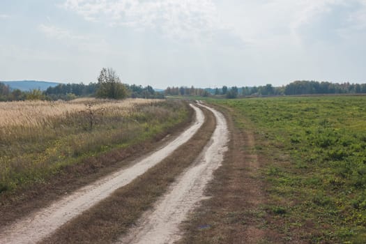 Rural road at summer Meadow - russian countryside landscape, wide angle